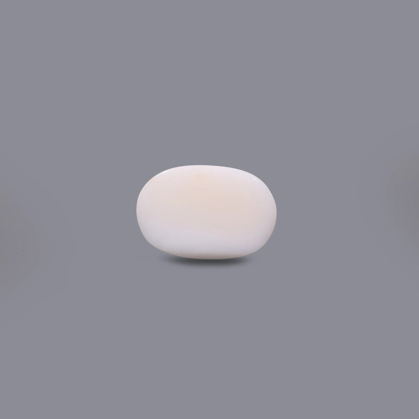 White Coral - 11.05 Carat