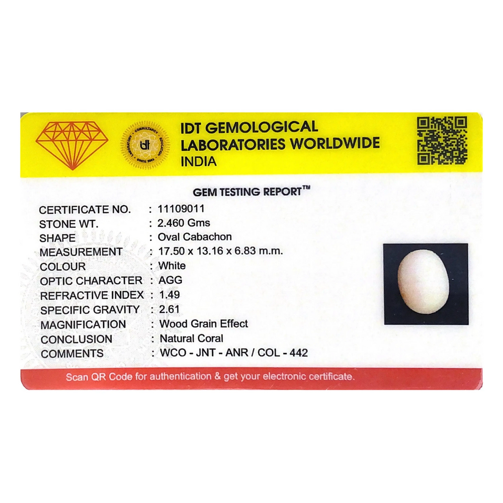 White Coral - 9.65 Carat