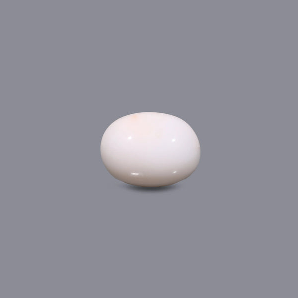 White Coral - 12.3 Carat - Pramogh