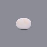 White Coral - 12.3 Carat
