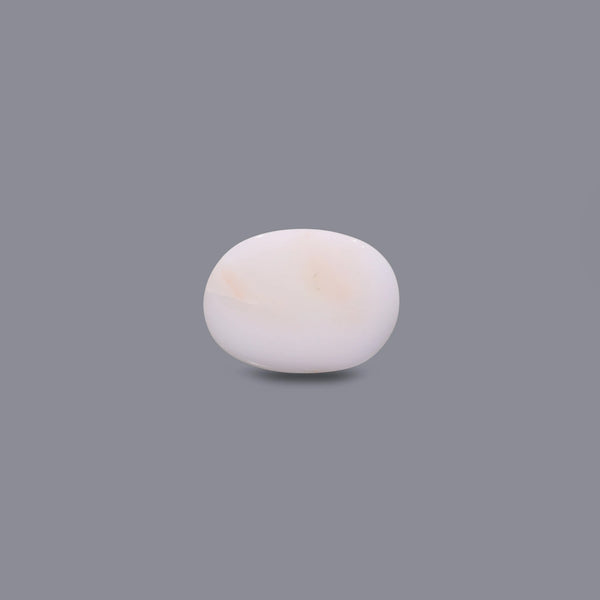 White Coral - 12.3 Carat