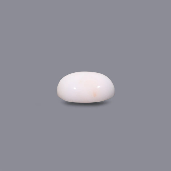 White Coral - 12.3 Carat