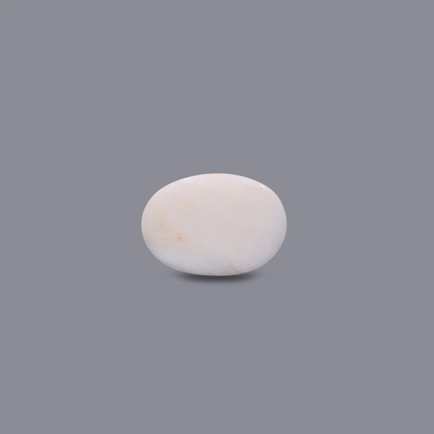 White Coral - 8.35 Carat