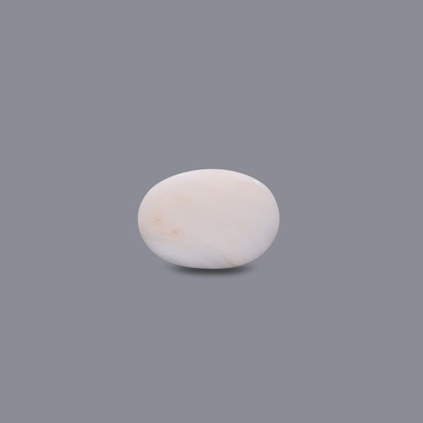 White Coral - 8.35 Carat