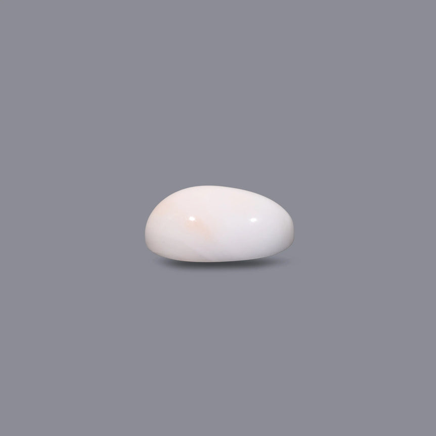 White Coral - 8.35 Carat