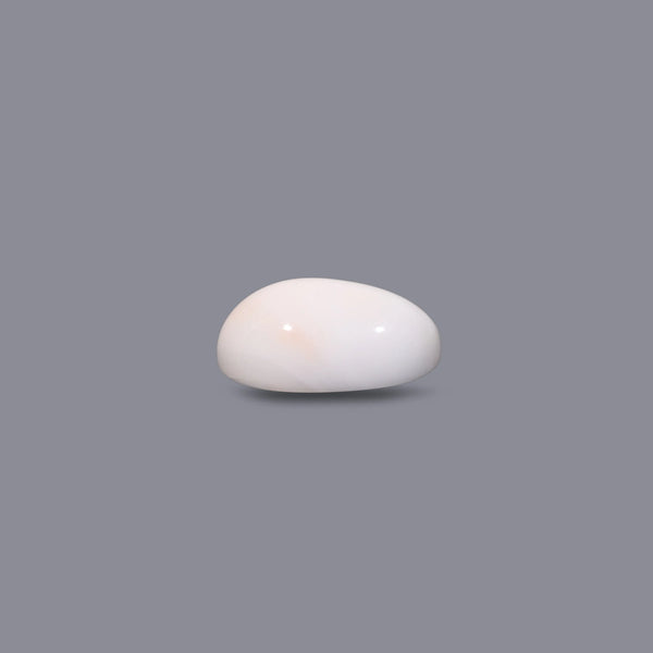 White Coral - 8.35 Carat