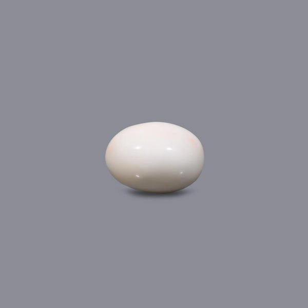 White Coral - 10.05 Carat - Pramogh