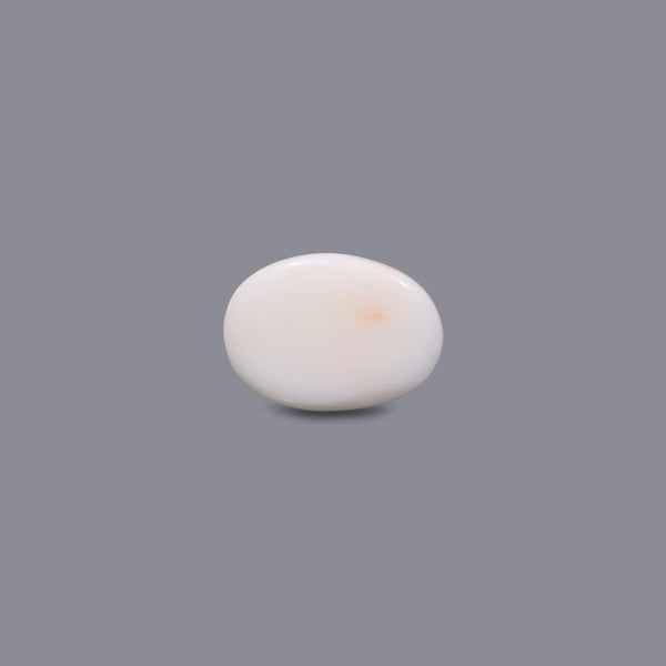 White Coral - 10.05 Carat
