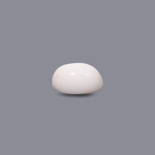 White Coral - 10.05 Carat