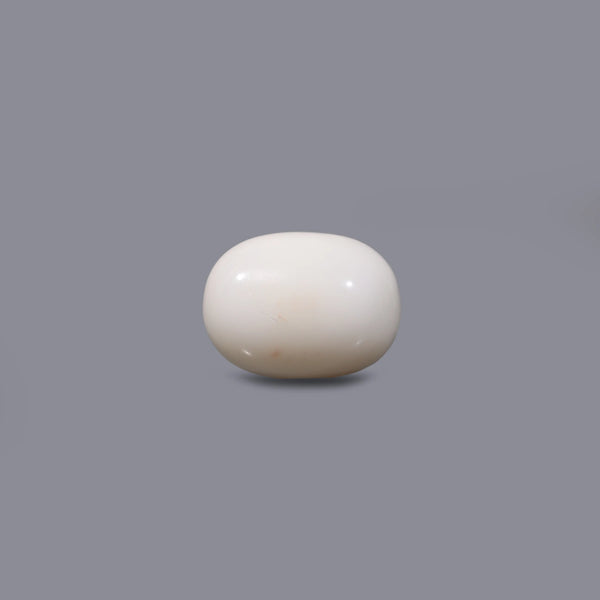 White Coral - 11.3 Carat - Pramogh
