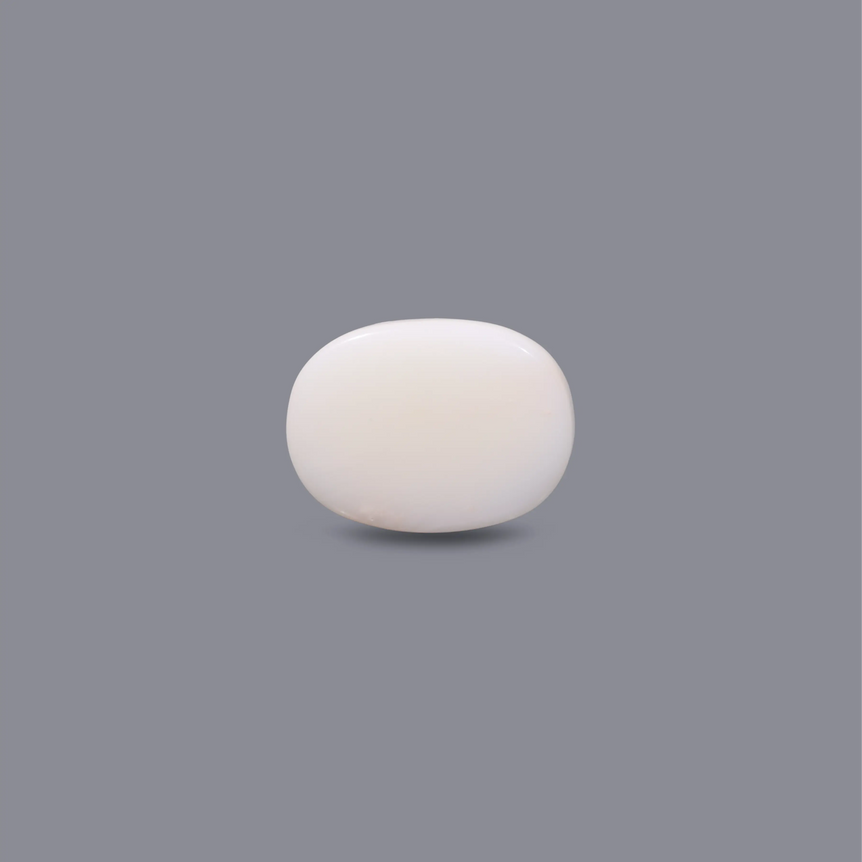 White Coral - 11.3 Carat