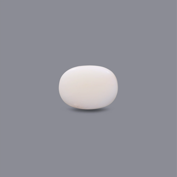 White Coral - 11.3 Carat