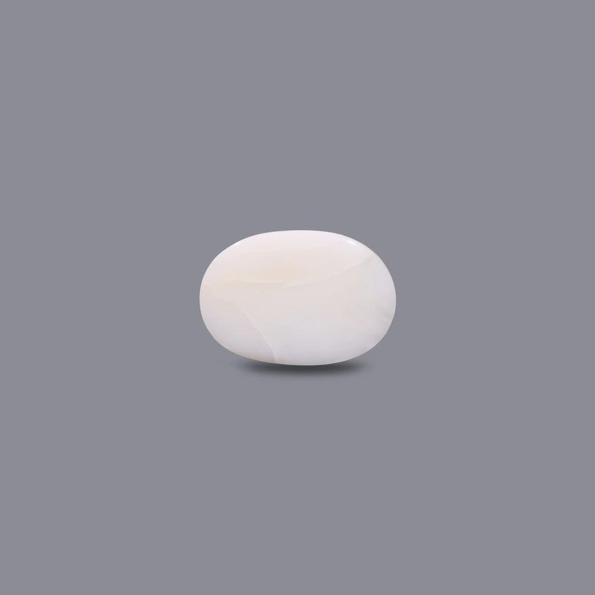 White Coral - 8.9 Carat