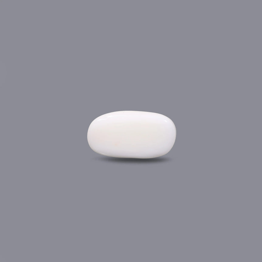 White Coral - 8.5 Carat