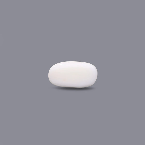 White Coral - 8.5 Carat