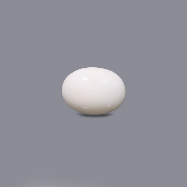 White Coral - 10.8 Carat - Pramogh