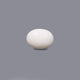 White Coral - 10.8 Carat - Pramogh