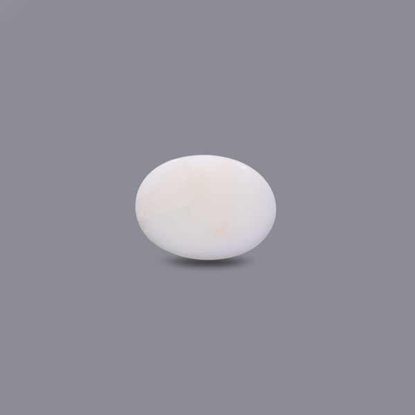 White Coral - 10.8 Carat