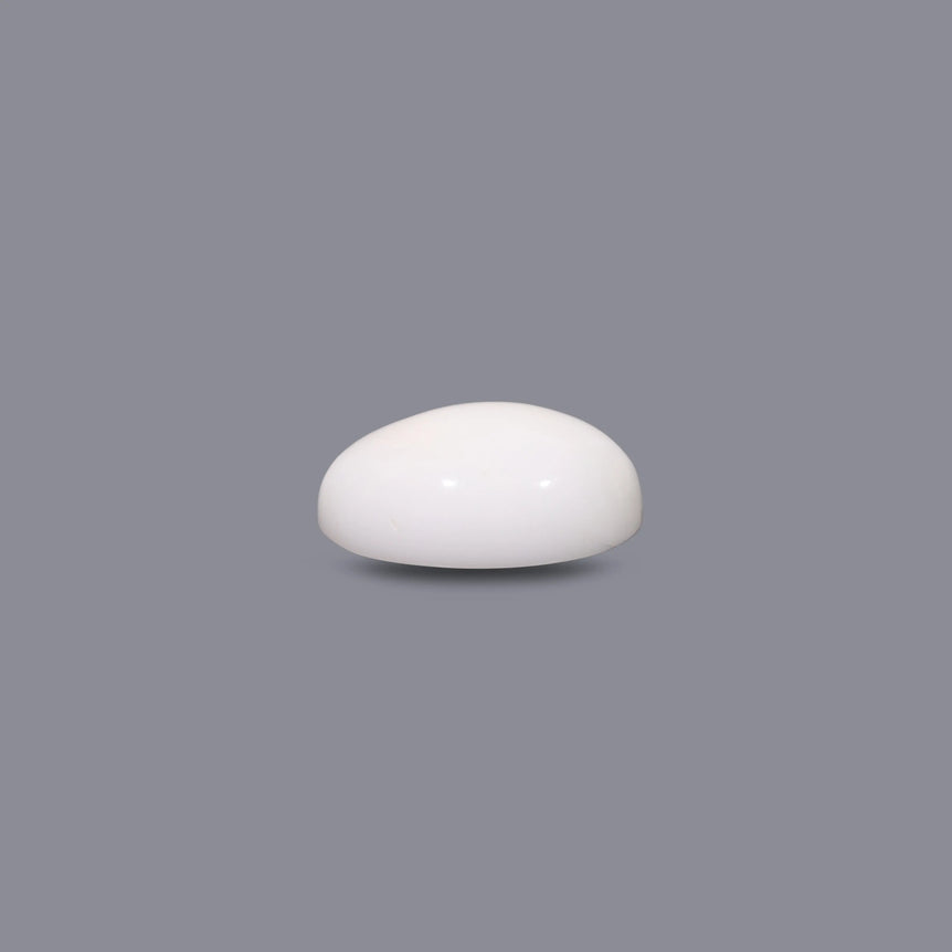 White Coral - 10.8 Carat