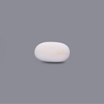 White Coral - 8.3 Carat