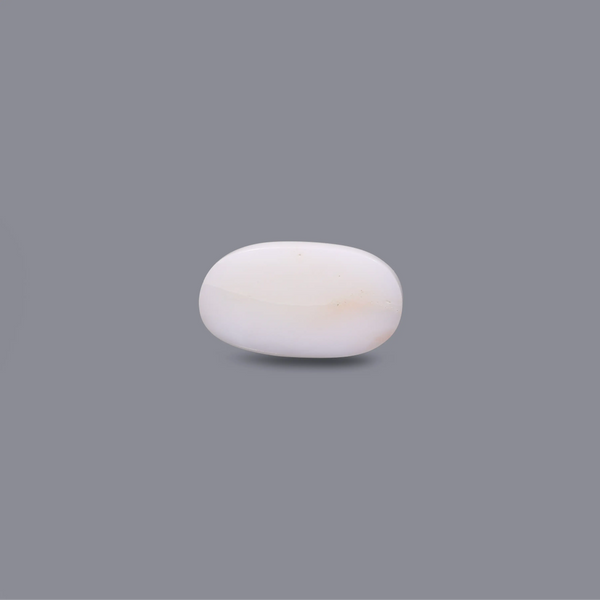 White Coral - 8.3 Carat
