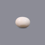 White Coral - 10.48 Carat - Pramogh