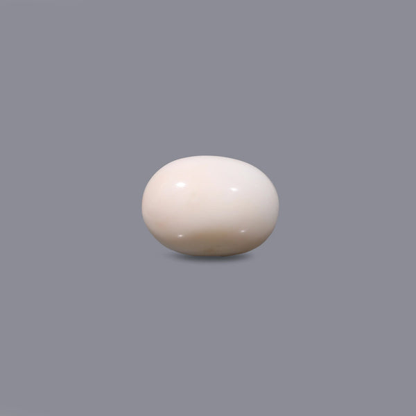 White Coral - 10.48 Carat - Pramogh