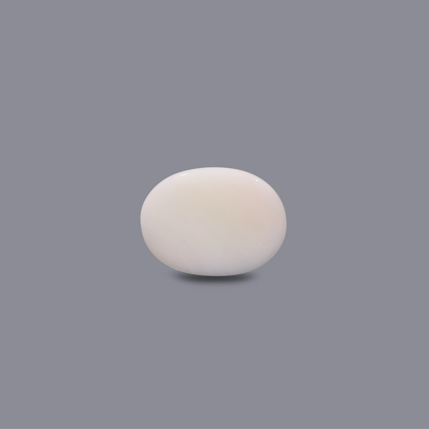 White Coral - 10.48 Carat