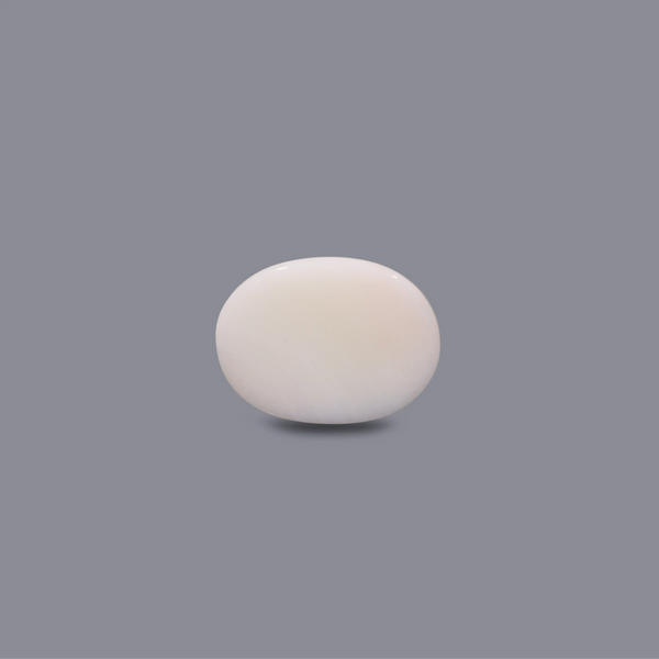 White Coral - 10.48 Carat