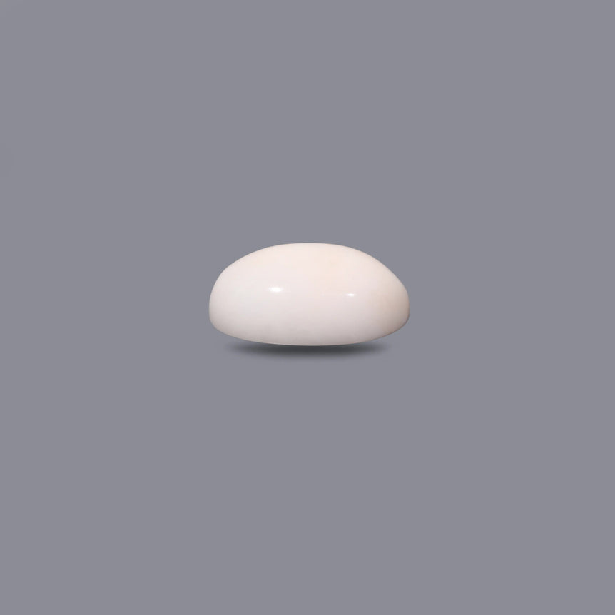 White Coral - 10.48 Carat