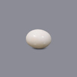 White Coral - 8.15 Carat - Pramogh