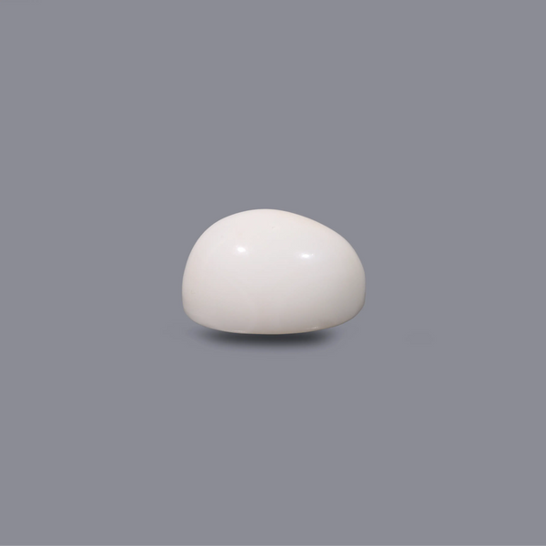 White Coral - 8.15 Carat