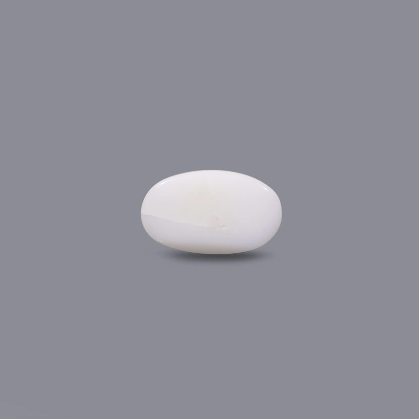 White Coral - 8.1 Carat