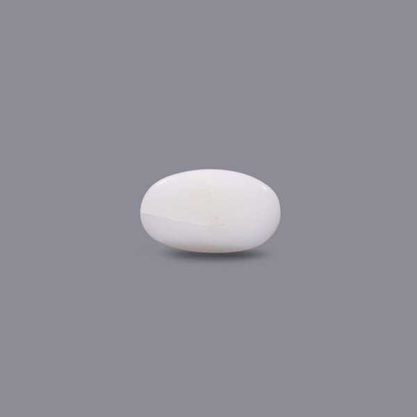 White Coral - 8.1 Carat
