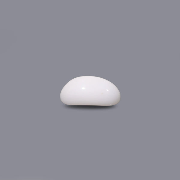 White Coral - 8.1 Carat