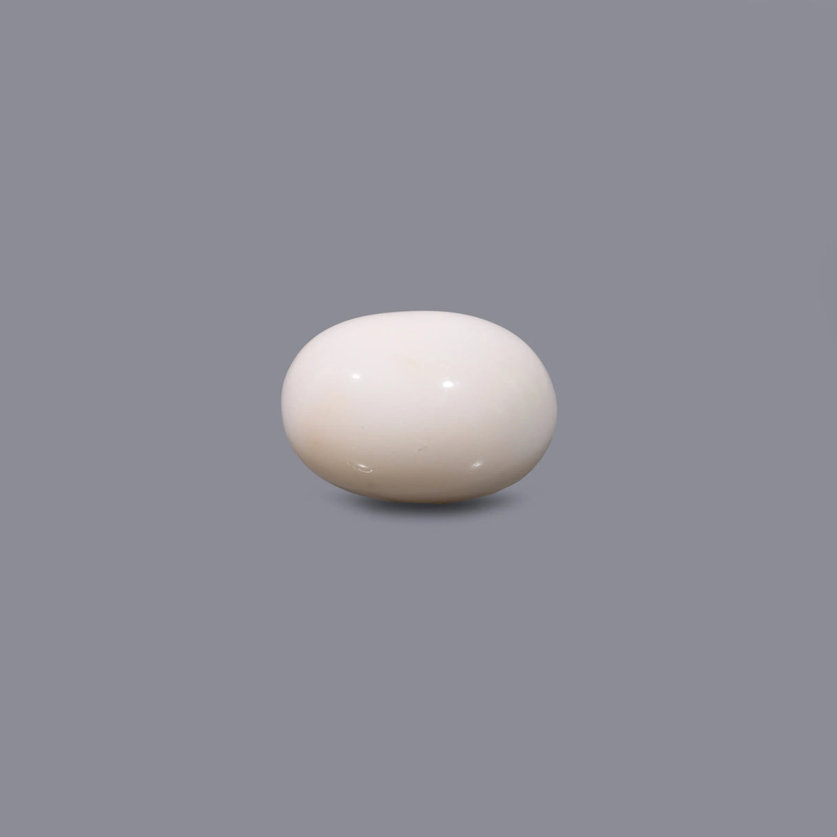 White Coral - 11 Carat - Pramogh