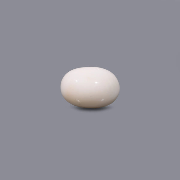 White Coral - 11 Carat - Pramogh