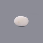 White Coral - 11 Carat