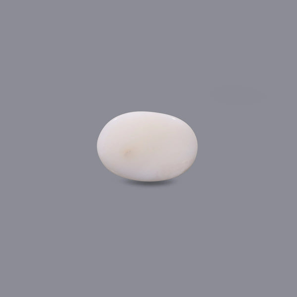 White Coral - 11 Carat