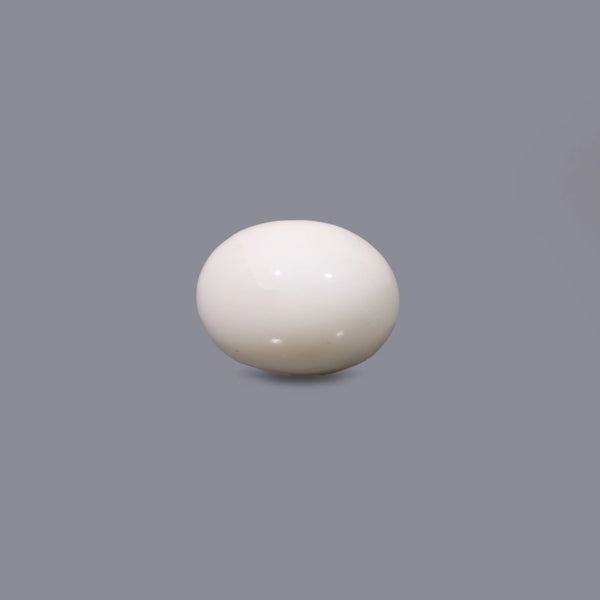 White Coral - 12.3 Carat - Pramogh