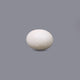 White Coral - 12.3 Carat - Pramogh