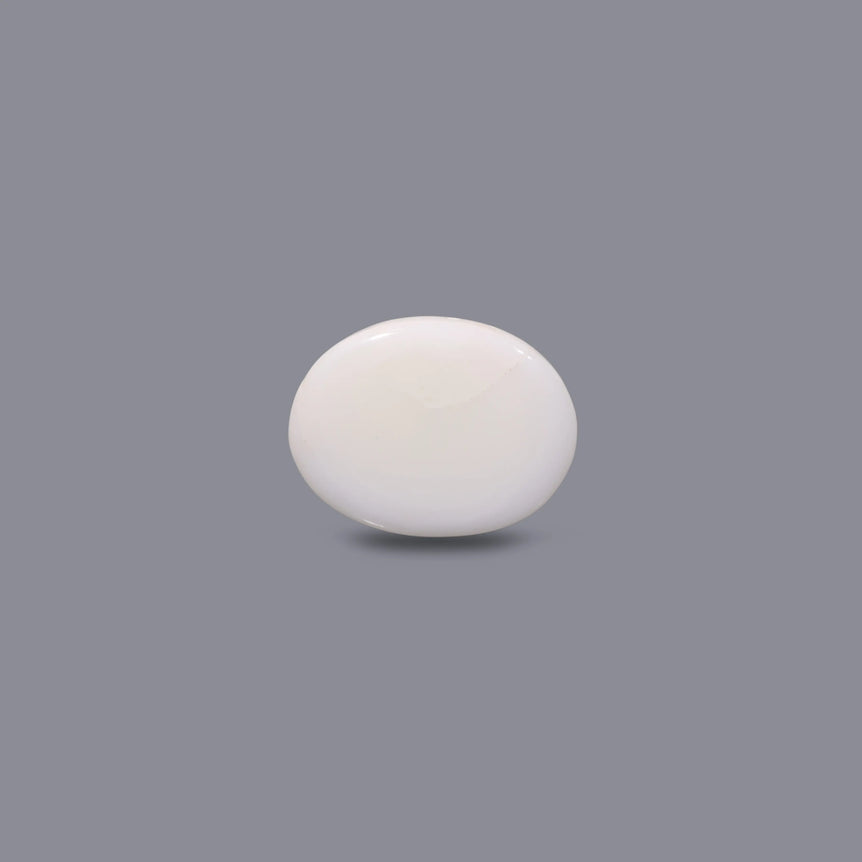 White Coral - 12.3 Carat