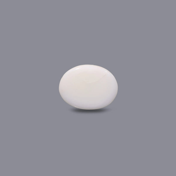 White Coral - 12.3 Carat