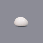 White Coral - 12.3 Carat