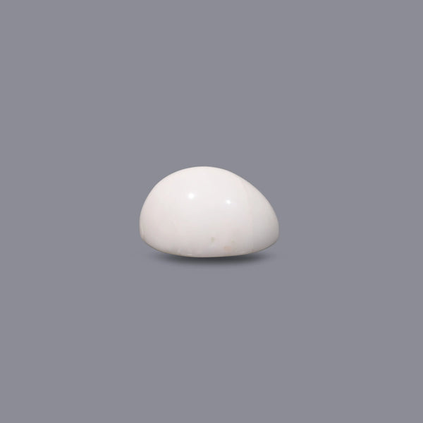 White Coral - 12.3 Carat