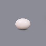 White Coral - 11.15 Carat - Pramogh