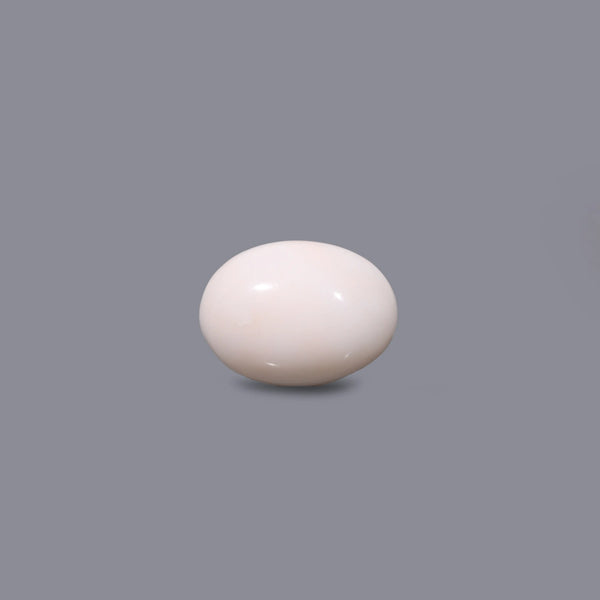 White Coral - 11.15 Carat - Pramogh