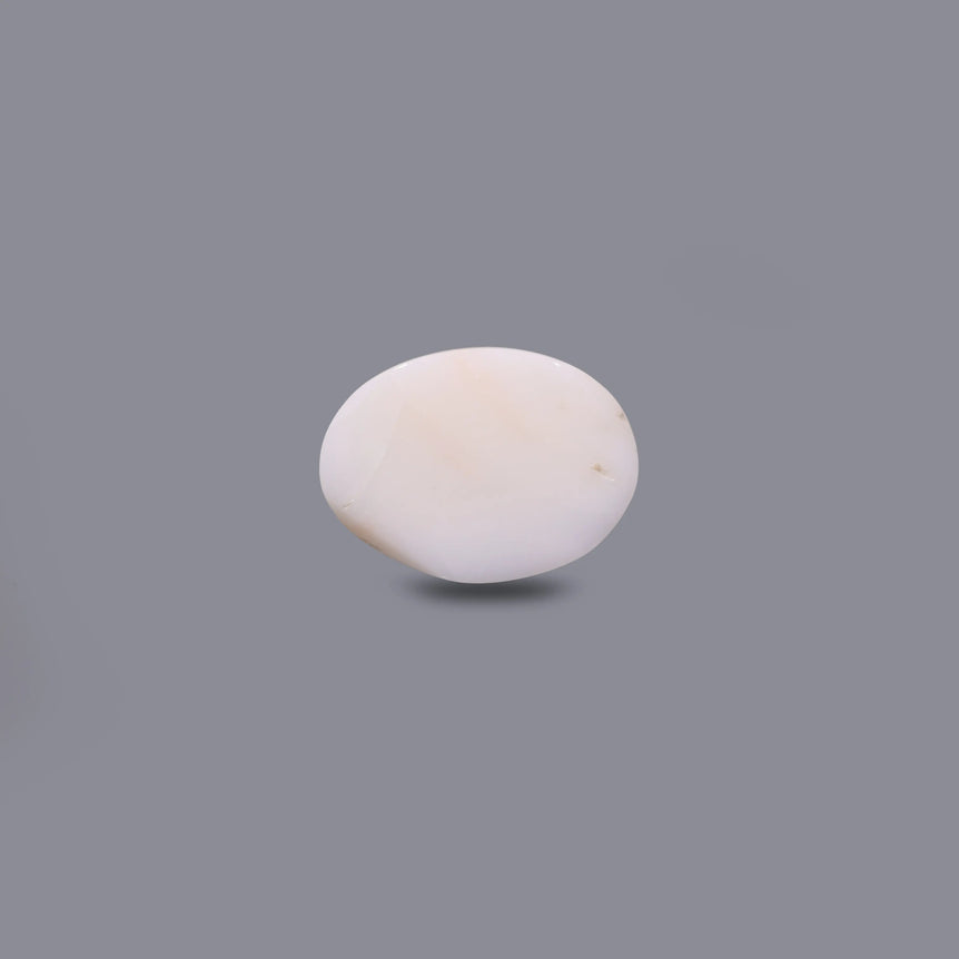 White Coral - 11.15 Carat