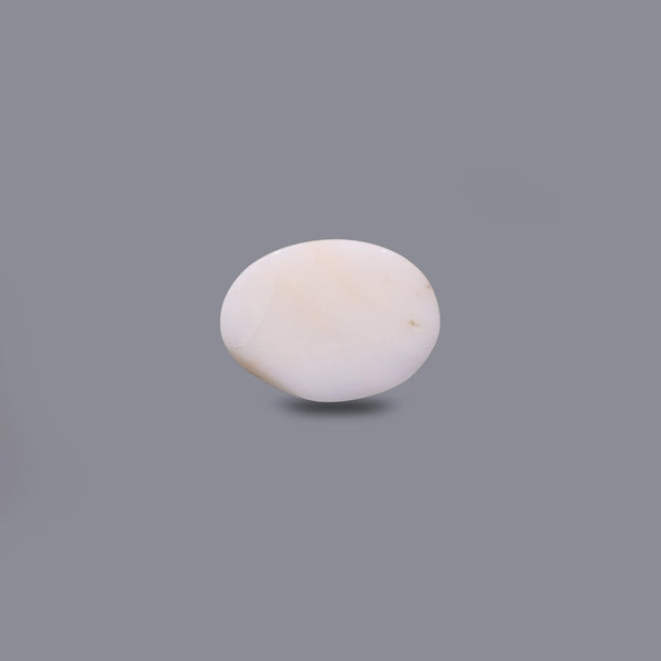 White Coral - 11.15 Carat
