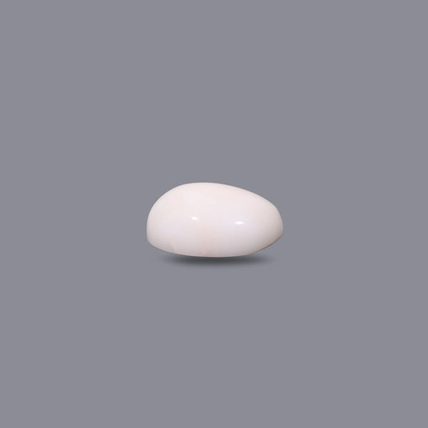 White Coral - 11.15 Carat